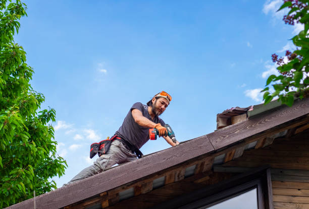 Best Skylight Installation and Repair  in Ellerslie, GA